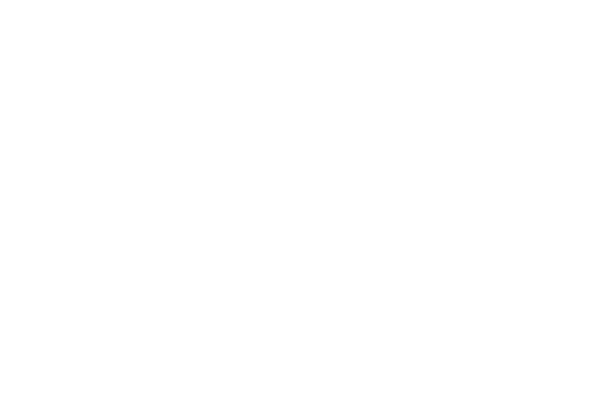 NYAS logo